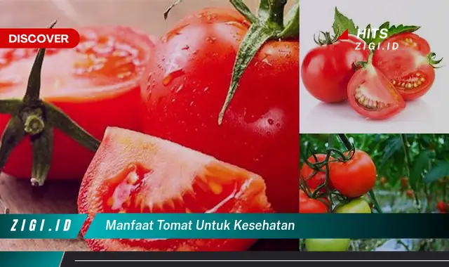 Temukan 9 Manfaat Tomat untuk Kesehatan yang Harus Anda Tahu