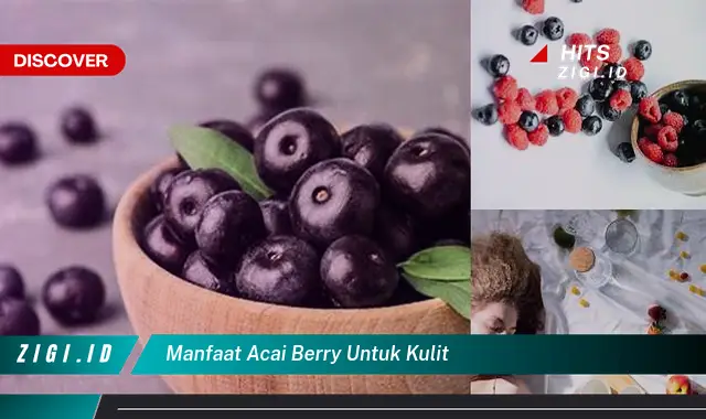 Temukan Khasiat Super Acai Berry untuk Kulit Anda yang Jarang Diketahui