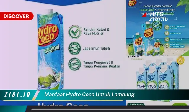 Temukan 5 Manfaat Minum Hydro Coco untuk Lambung yang Jarang Diketahui