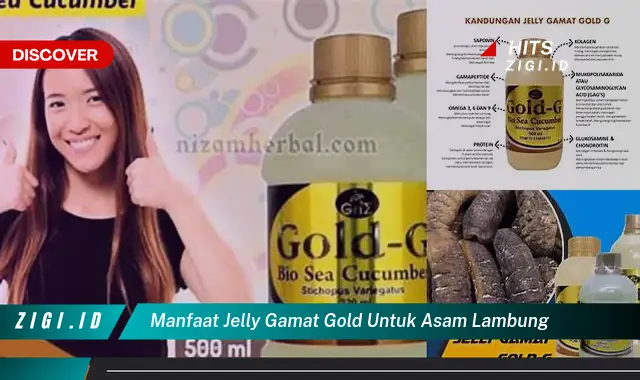 Temukan 10 Manfaat Jelly Gamat Gold untuk Asam Lambung yang Jarang Diketahui