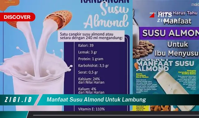 Temukan Manfaat Susu Almond untuk Lambung yang Wajib Anda Tahu