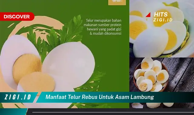 Ketahui 8 Manfaat Telur Rebus untuk Asam Lambung yang Jarang Diketahui