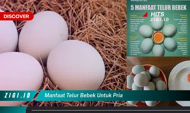 Temukan Manfaat Telur Bebek untuk Pria yang Jarang Diketahui