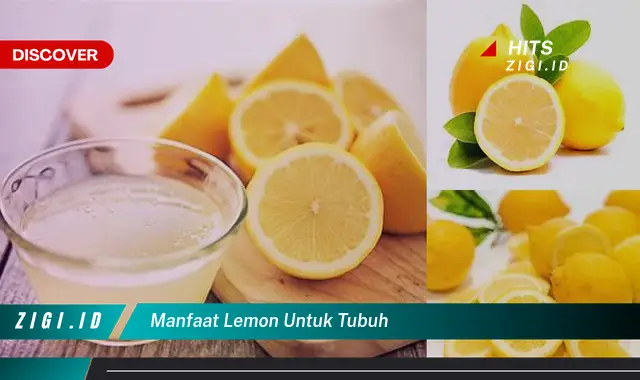 Temukan Manfaat Lemon untuk Tubuh yang Jarang Diketahui!