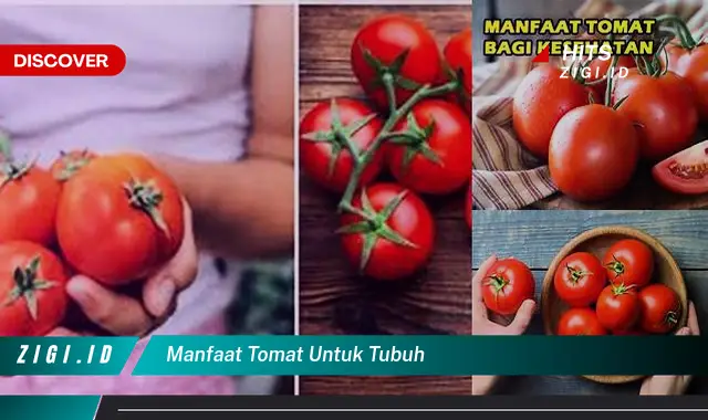 Temukan Berbagai Manfaat Tomat untuk Tubuh yang Jarang Diketahui