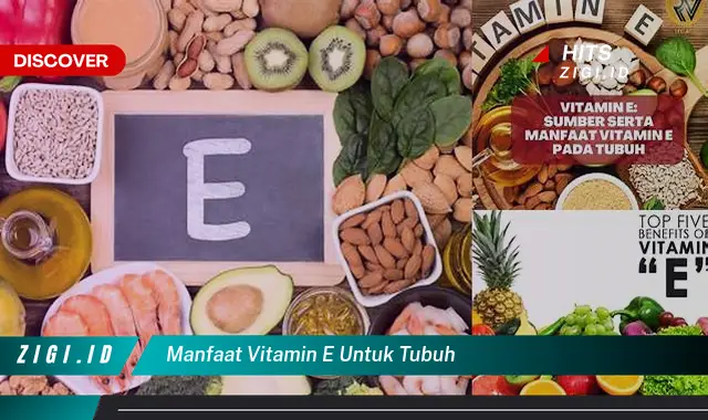 Temukan Manfaat Vitamin E untuk Tubuh yang Jarang Diketahui