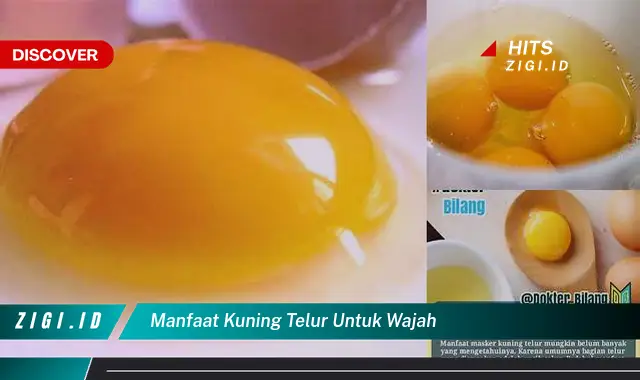 Temukan 7 Manfaat Kuning Telur untuk Wajah yang Jarang Diketahui