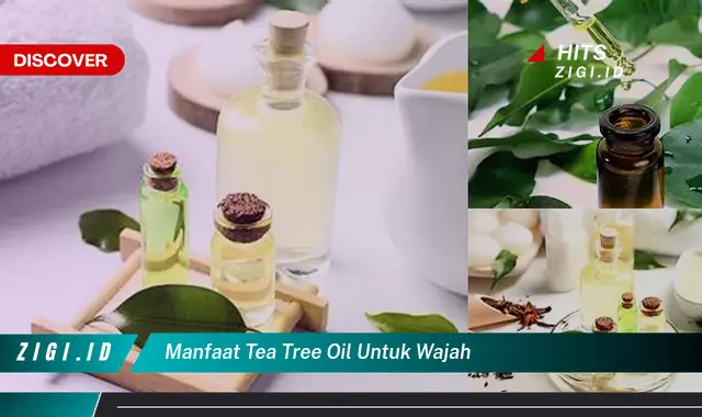 Temukan Manfaat Tea Tree Oil untuk Wajah yang Jarang Diketahui