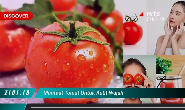 Temukan 7 Manfaat Tomat untuk Kulit Wajah yang Jarang Diketahui