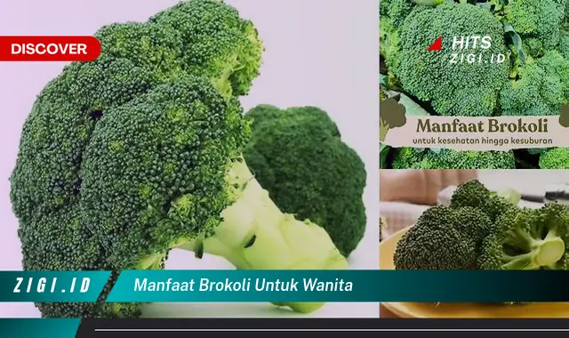 Temukan Manfaat Brokoli untuk Wanita yang Jarang Diketahui