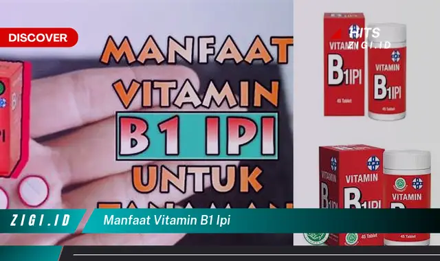 Temukan Manfaat Vitamin B1 Ipi yang Jarang Diketahui