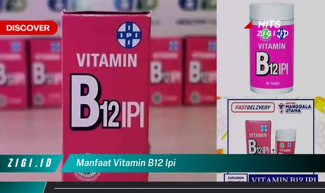 Temukan Manfaat Vitamin B12 Yang Jarang Diketahui