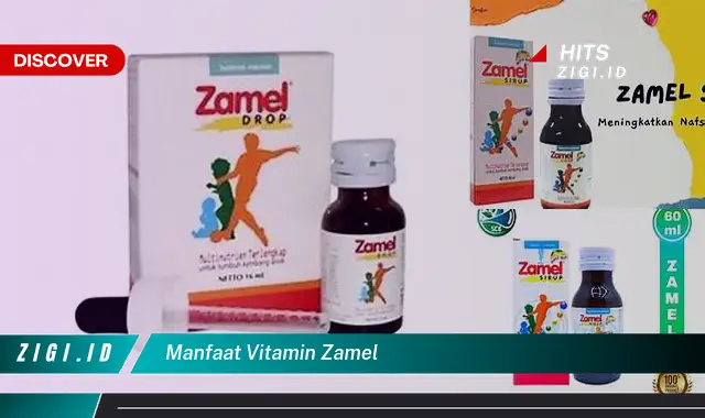 Temukan Manfaat Vitamin Zamel yang Belum Banyak Diketahui!