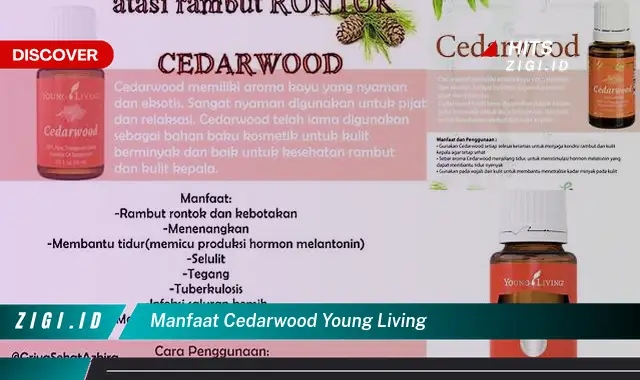 Temukan Rahasia Manfaat Cedarwood Young Living yang Jarang Diketahui