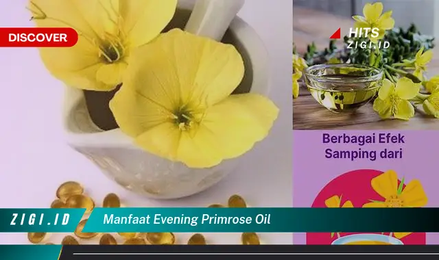 Temukan Manfaat Evening Primrose Oil yang Jarang Diketahui
