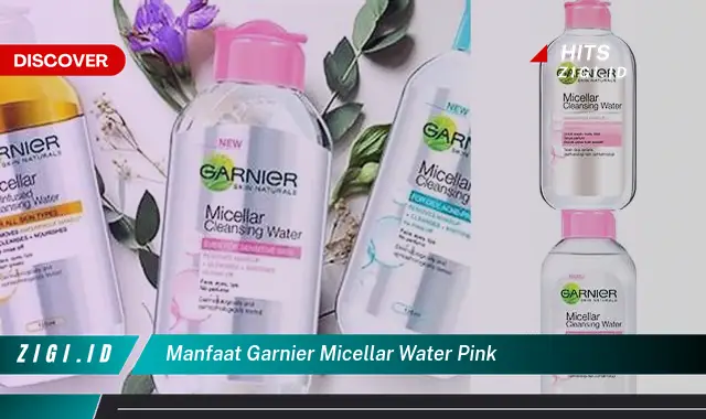 Temukan Manfaat Garnier Micellar Water Pink yang Jarang Diketahui