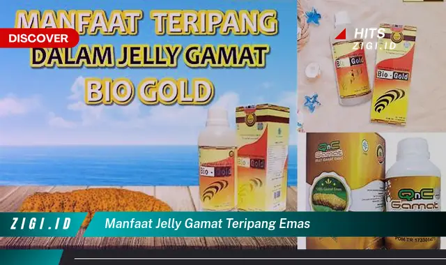 Temukan 10 Manfaat Jelly Gamat Teripang Emas Jarang Diketahui