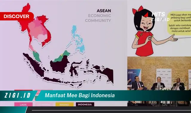 Manfaat Mi Bagi Indonesia yang Jarang Diketahui